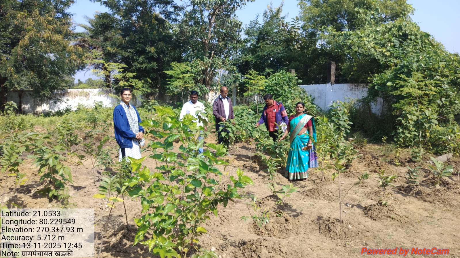 वृक्ष लागवड ग्रामपंचायत खडकी